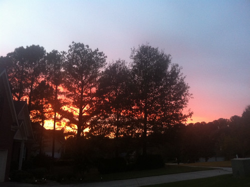 IMG_1941 by joeygibson